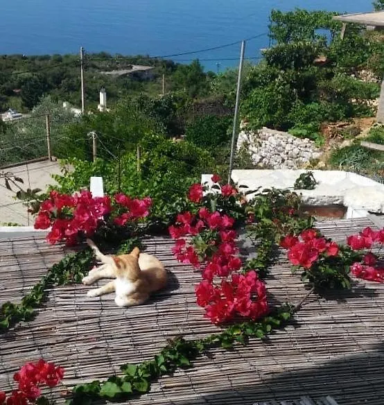 Stefanel View-Frederika Villa Himare Holiday home