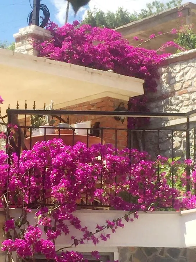 Stefanel View-Frederika Villa Himare Albania